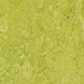 Натуральний лінолеум Forbo Marmoleum Real 3224 Chartreuse